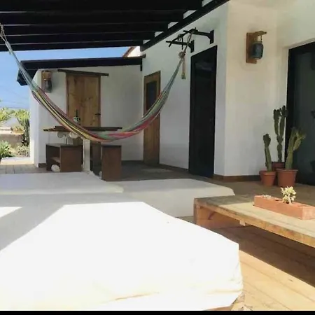 Ballena Willa Lajares