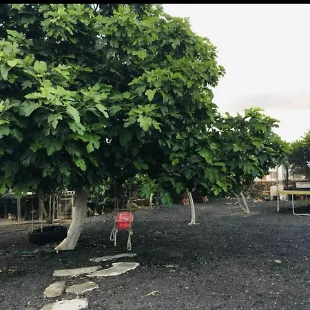 Villa Ballena *